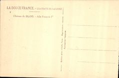 CPA Chateau de Blois Aile Francois Ier 