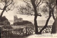 CPA Biarritz Cote Basque la Villa Belza a travers les Tamaris 
