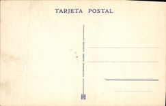 CPA Cuevas del Drach Mallorca Macizo arborescente 