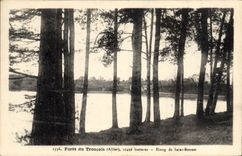 CPA Foret du Troncais Allier Etang de Saiat Bonnet 
