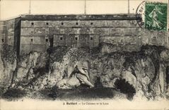 CPA Belfort Le Chateau et le Lion 