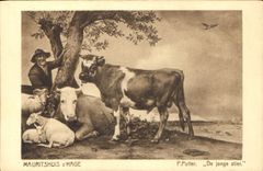 CPA Mauritshuis s'Hage P Potter De Jonge stier Vache