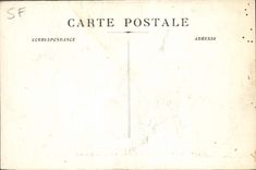CPA Musee de Marseille Vayson Les Taureaux de Camargue Chien