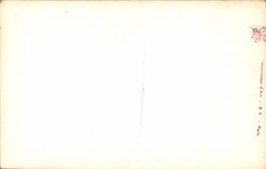 CPA Salon de Paris Dupain E Reueil au Printemps 