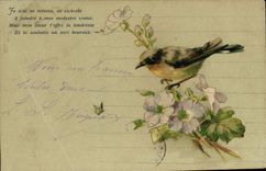 CPA Fantaisie Fleurs Oiseau