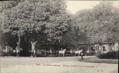 CPA Le Haras national Etalom rentrant de la promenade Chevaux