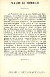 Image Fantaisie Fleurs Fleurs de pommiers te mesange bleue