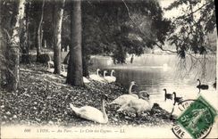 CPA Lyon Au Parc Le Coin des Cygnes 