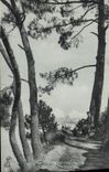 CPA Dinard La Vicomte Le Chaulin de Route 