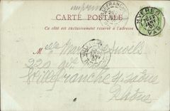 CPA Env d'Hyeres les Palmiers Les Pins Penches de Carqueiranne 