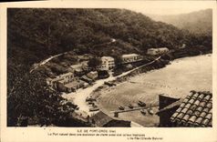 CPA Ile de Port Cros Car Le Port naturel dans une exposion de clarte aussi vive qu'aux tropiques l'I