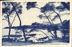 CPA Environs d'Hyeres Carqueiranne Les Salettes 