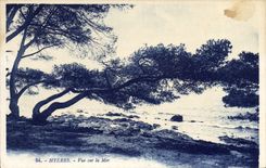 CPA Hyeres Vue sur la Mer 