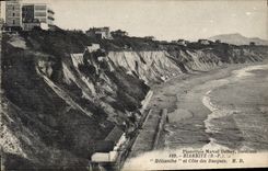 CPA Biarritz Helianthe et Cote des Basques 