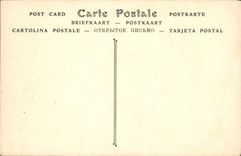 CPA Remparts d'Aigues Mortes cote est 