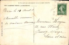 CPA Nice Palmiers du Chateau 