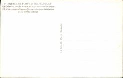CPA Plougastel Daoulas 