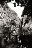 CPA Amelie les Bains PO Gorges du Mondony 
