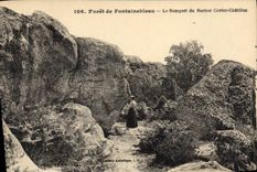 CPA Foret de Fontainebleau Le Rempart du Rocher Cavier Chatillon 