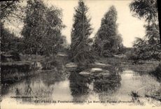 CPA Foret de Fontainebleau La Mare aux Pigeons 