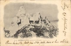 CPA Hautes Pyrenees Isards sur la Montagne 