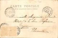 CPA Hautes Pyrenees Isards sur la Montagne 