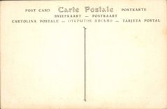 CPA Azay le Rideau Indre et Loire Chateau construit par Martin et Gilles Berthelot 