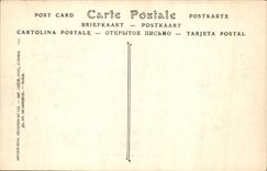 CPA Chateau d'Amboise 