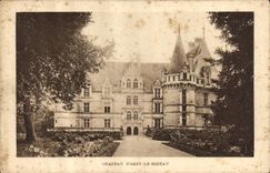CPA Chateau d'Azay le Rideau 