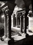 CPA Elne PO Colonnade du XIII siecle 