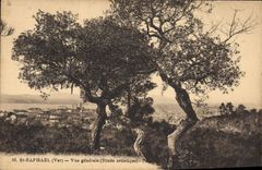CPA St Raphael Var Vue generale Etude artistique 