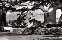 CPM Arles B du Rh Jardin des Lices 