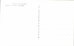 CPM Arles B du Rh Jardin des Lices 