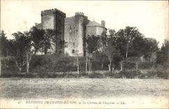 CPA Environs de Chatel Guyon le chateau de Chazeron 