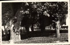 CPA Vezelay Nievre Grandes Promenades 