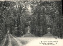 CPA Le Chateau de Chantilly le Parc les trois Allees 