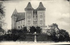 CPA Pau le chateau vu de la Basse Plante 