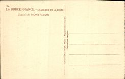CPA Chateaux de la Loire Chateau de Montresor