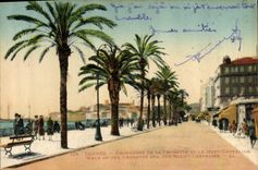 CPA Cannes Promenade de la Croisette et le Mont Chevalier 