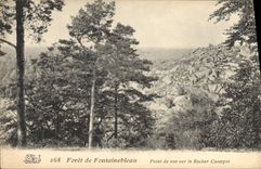CPA Foret de Fontainebleau Point de vue sir le Rocher Casspot 