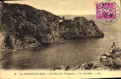 CPA La Pointe du Raz La Baic des Trepasses Le Rochier 