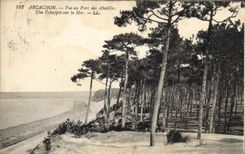 CPA Arhachon Vue au Parc des Abatilles Une Echappee sur la Mer 