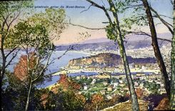 CPA Nice Vue generale prise du Mont Boron 