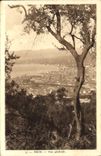 CPA Nice Vue generale 
