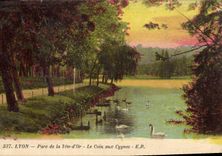 CPA Lyon Parc de la Tete d'Or Le Coin aux Cygnes 