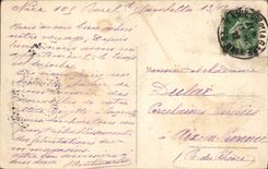 CPA Nice Les Jardins des Palmiers Albert I 