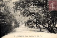 CPA Fouras Ch Inf L'Avenue du Bois Vert 