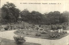 CPA Paris Le Bois de Boulogne Bagatelle La Roseraie 