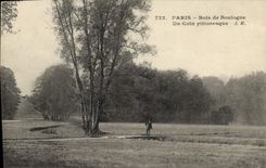 CPA Paris Bois de Boulogne un coin pittoresque 