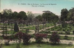 CPA Paris Bois de Boulogne la Roserale de Bagatelle 
